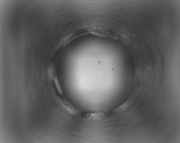 X0000052960188200507300121