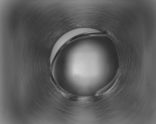X0000052960192200507300121
