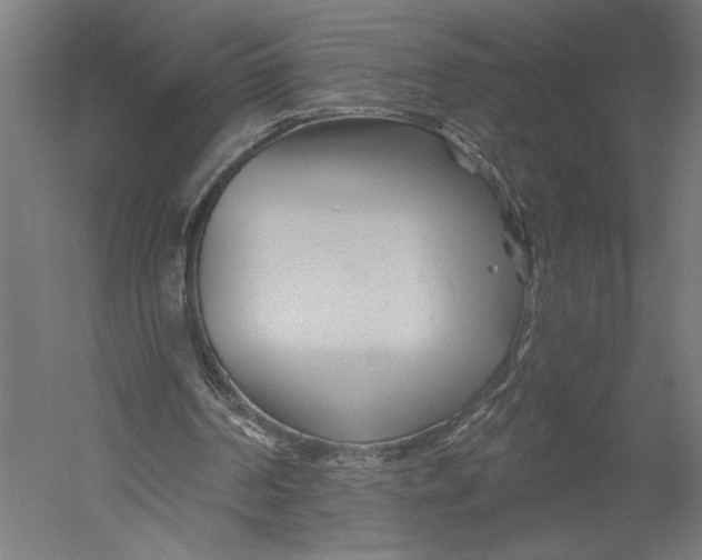 X0000052960194200507300120