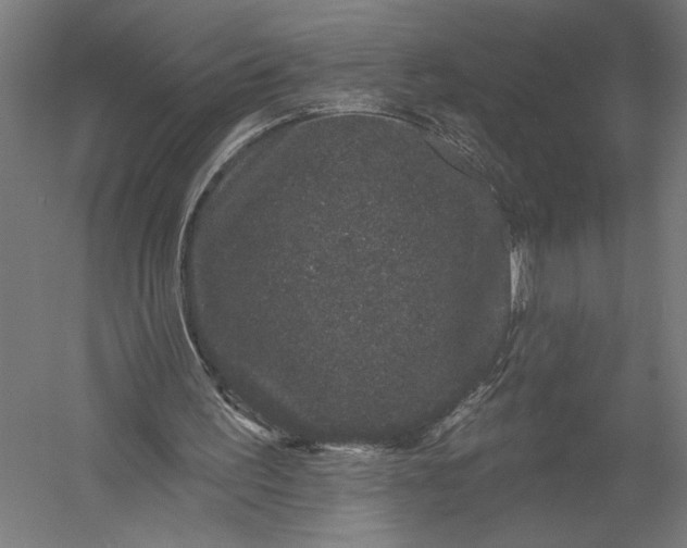 X0000052960195200507300120
