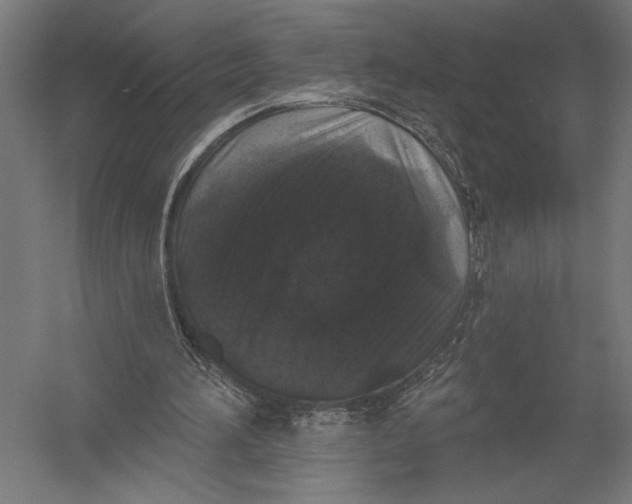 X0000052960196200507300120