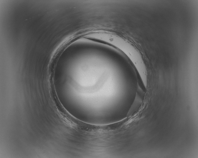 X0000052960197200507300120