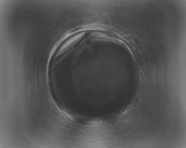 X0000052960200200507300120
