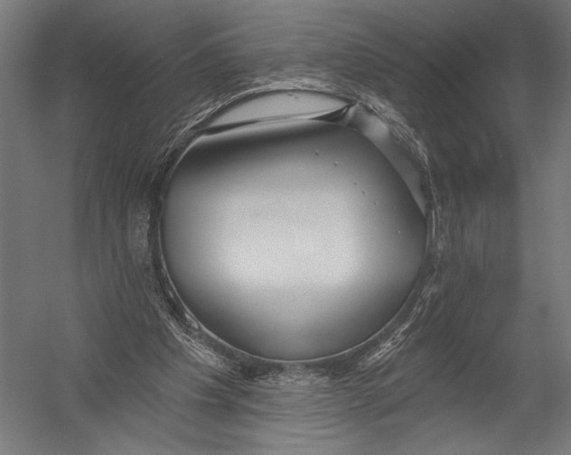 X0000052960201200507300120