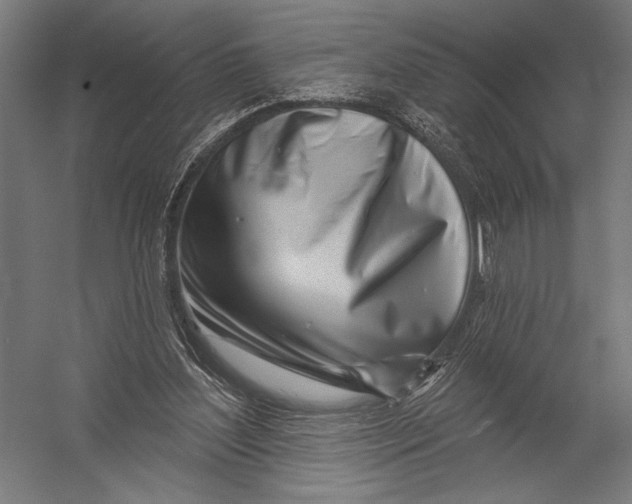 X0000052960204200507300120