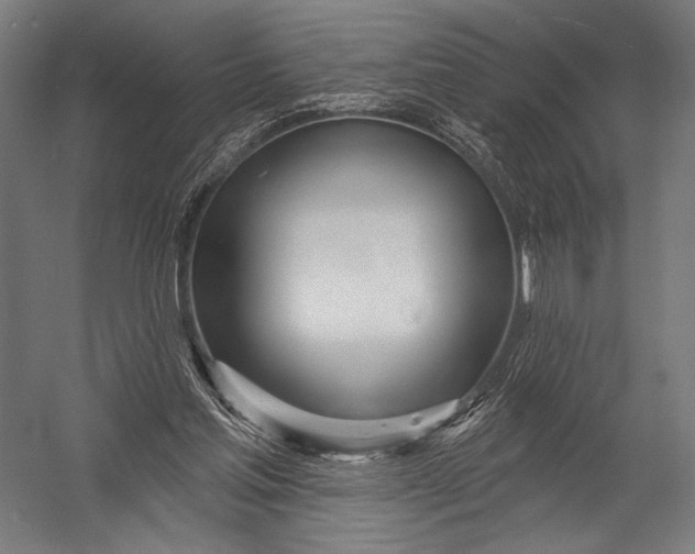 X0000052960205200507300120