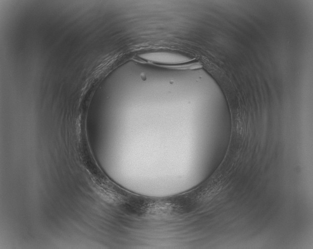 X0000052960206200507300120
