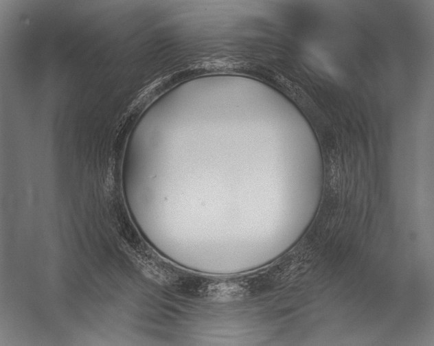 X0000052960208200507300120
