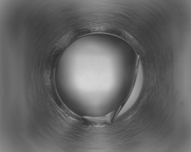 X0000052960209200507300120