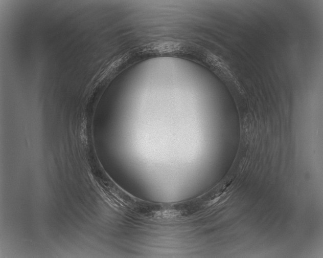 X0000052960212200507300120