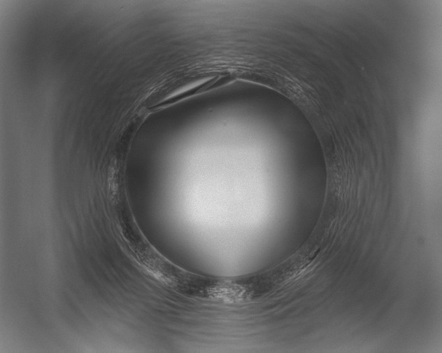 X0000052960215200507300120