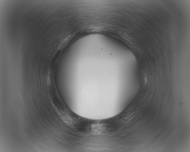 X0000052960216200507300120