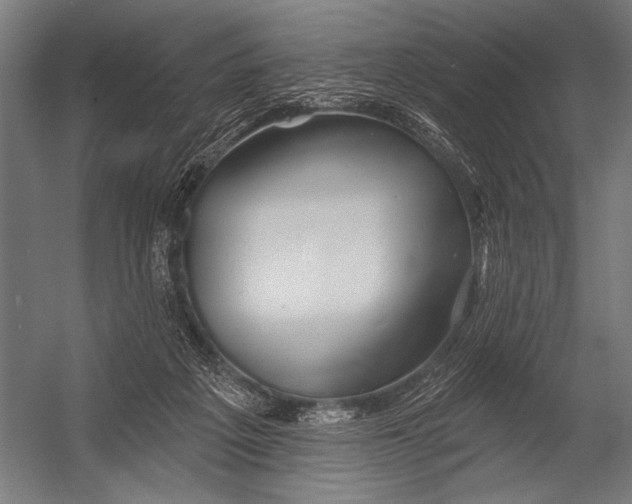 X0000052960217200507300120