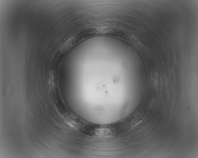 X0000052960220200507300120