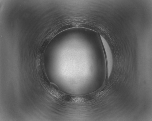 X0000052960221200507300120