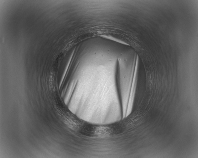 X0000052960222200507300120