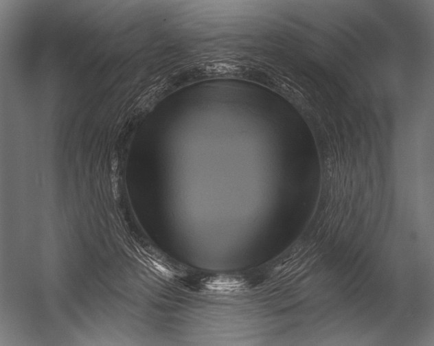 X0000052960223200507300120