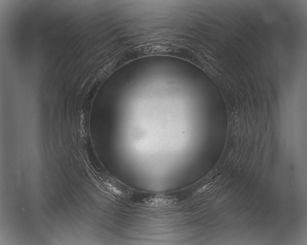 X0000052960224200507300120