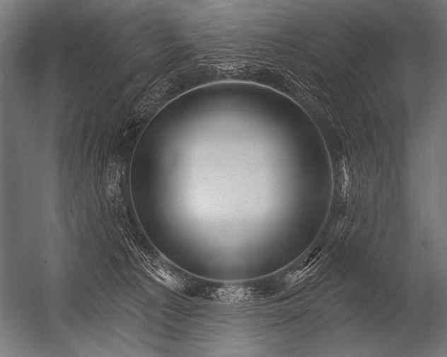 X0000052960225200507300120