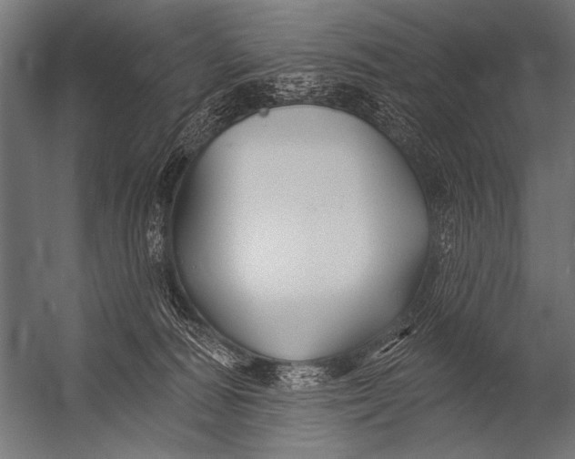 X0000052960226200507300119