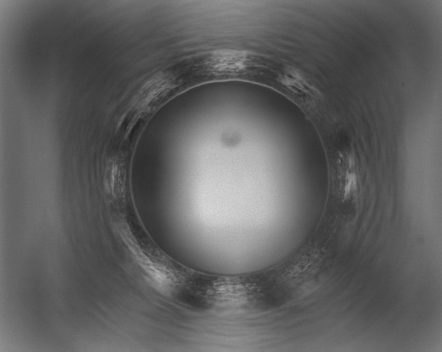 X0000052960228200507300119