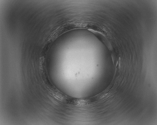 X0000052960229200507300119
