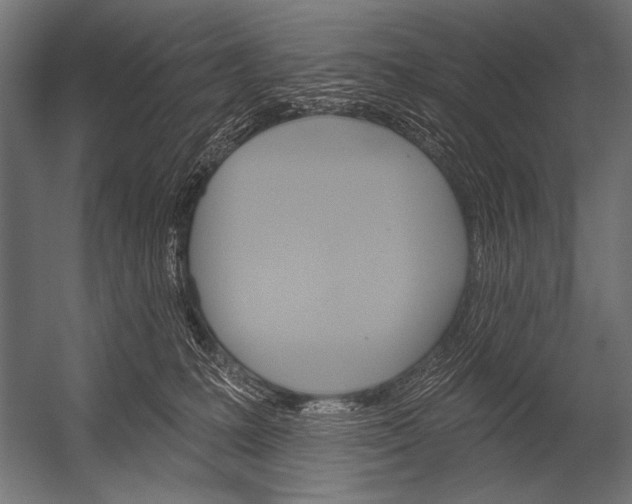 X0000052960231200507300119