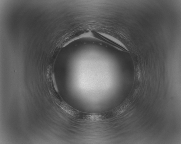 X0000052960233200507300119