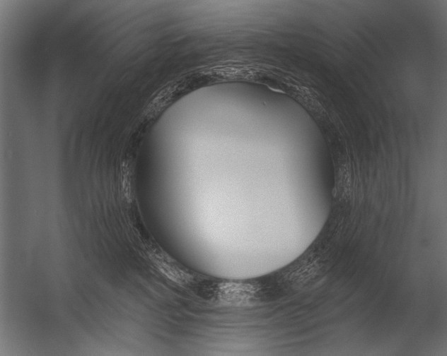 X0000052960234200507300119