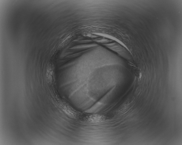 X0000052960235200507300119