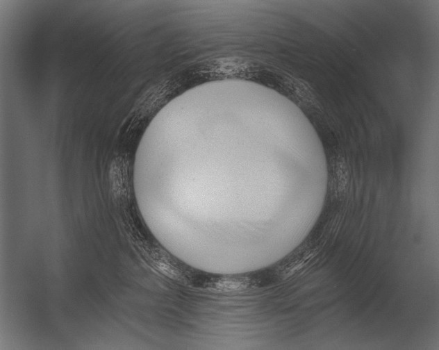 X0000052960236200507300119