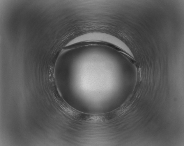 X0000052960237200507300119