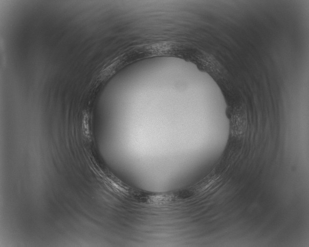 X0000052960238200507300119
