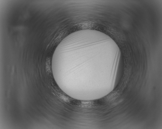 X0000052960240200507300119