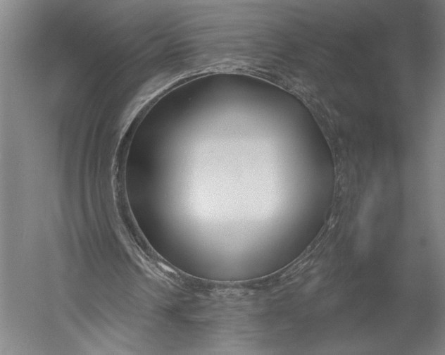 X0000052960242200507300118