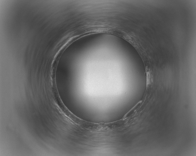 X0000052960243200507300118