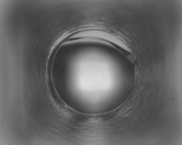 X0000052960248200507300119