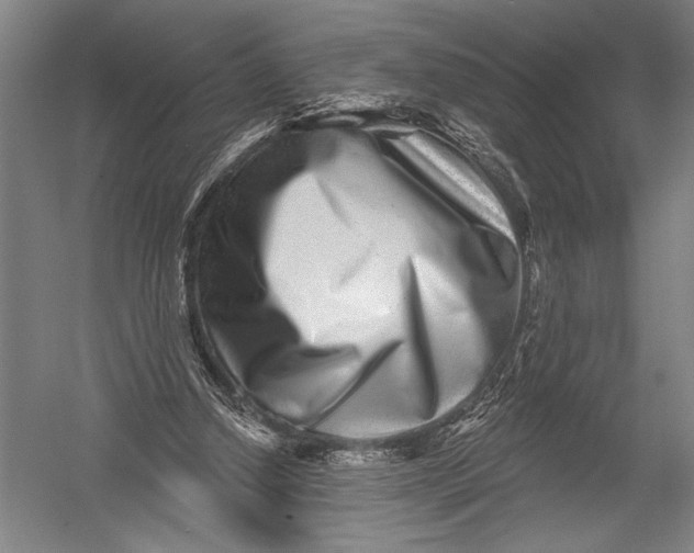 X0000052960250200507300119