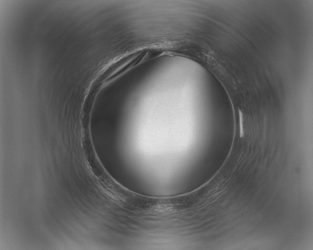 X0000052960252200507300119