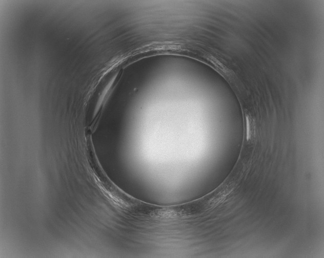 X0000052960253200507300119