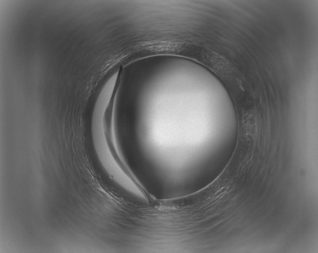 X0000052960255200507300119
