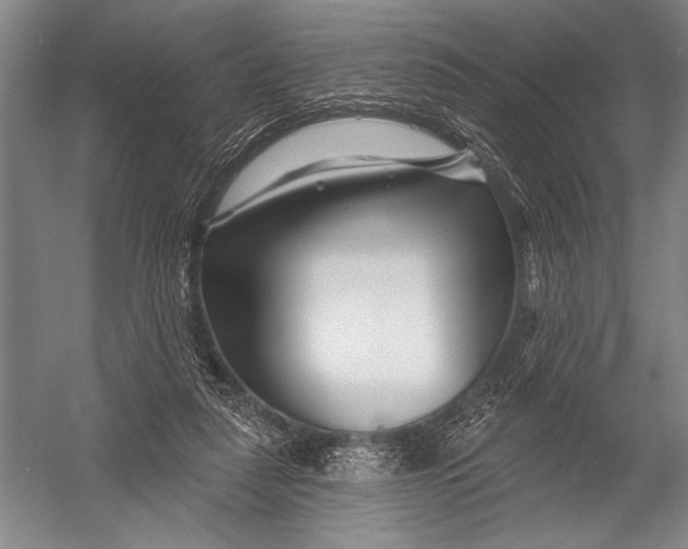 X0000052960259200507300119