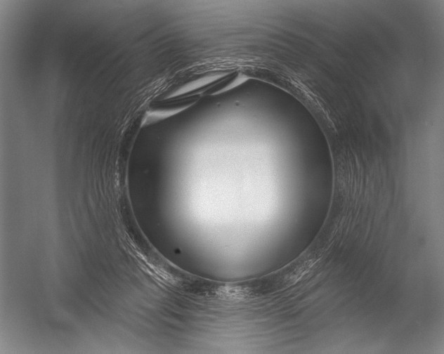 X0000052960261200507300119