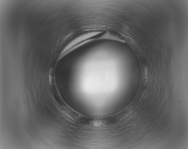 X0000052960264200507300119