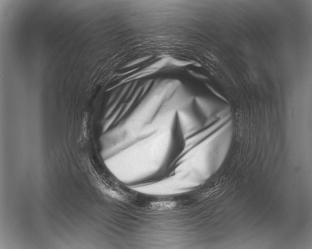 X0000052960266200507300119