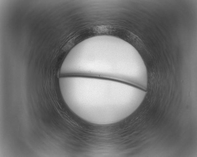X0000052960267200507300119
