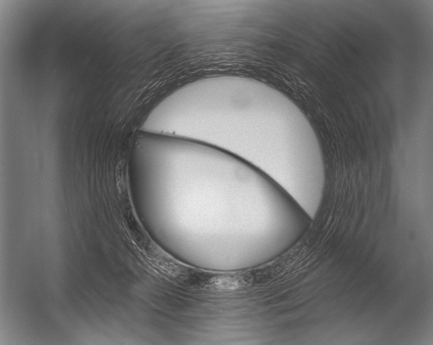 X0000052960272200507300119