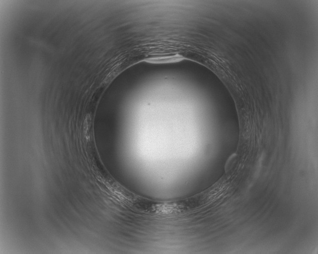 X0000052960273200507300119