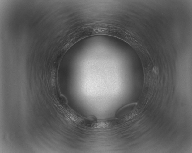 X0000052960274200507300119