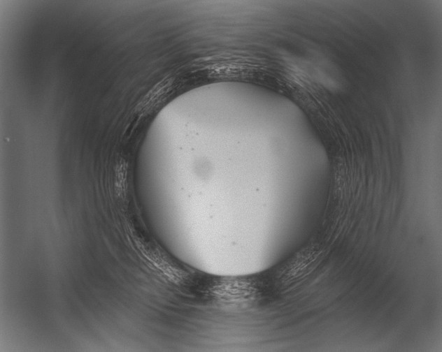 X0000052960278200507300119